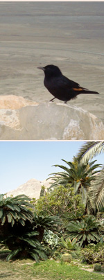 Foto: Impressionen aus Israel